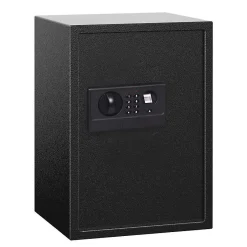 Coffre-fort de sécurité biométrique de 42 litres-Lifebox Sale