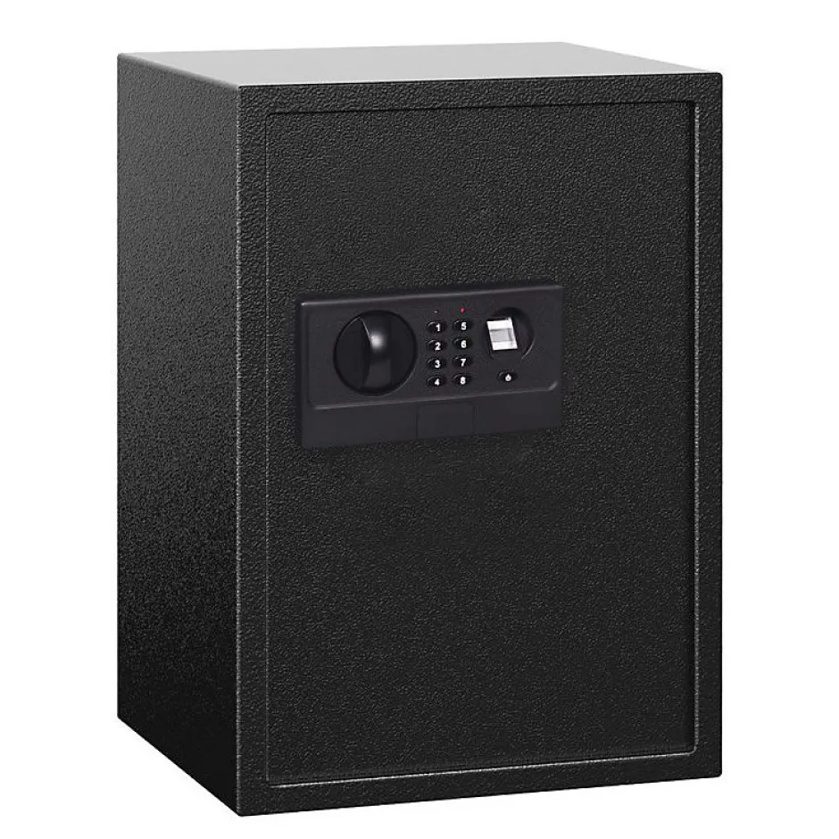 Coffre-fort de sécurité biométrique de 42 litres-Lifebox Sale