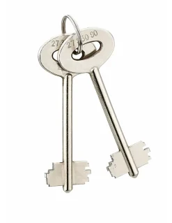 Coffret de sécurité à poser Sedan, fermeture par clé, 2 pênes, 15L -^Thirard Discount