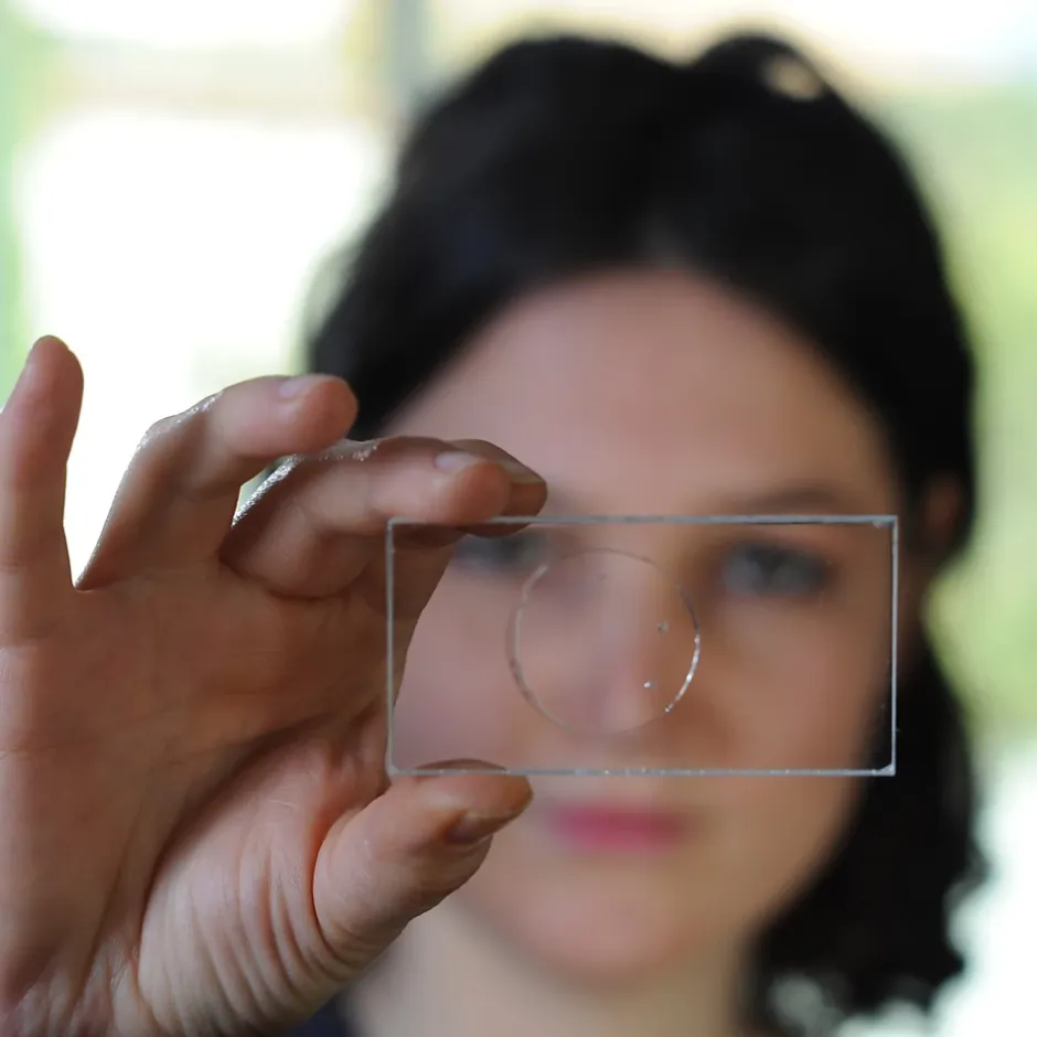 Colle Koltout transparent 50 ml^Cyanolit Outlet