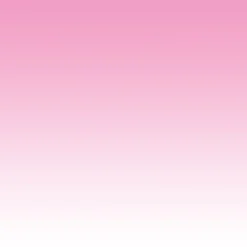 Colle papier peint avec indicateur coloré 5kg-Quelyd Discount