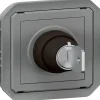 Commande à clé - Plexo -^Legrand Online