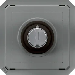 Commande à clé - Plexo -^Legrand Online