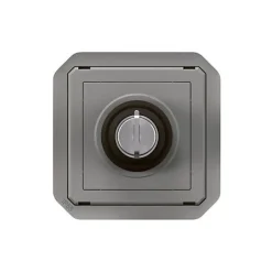 Commande à clé - Plexo -^Legrand Online