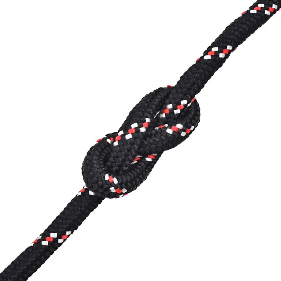 Corde de bateau Polypropylène 8 mm 100 m Noir-Vidaxl