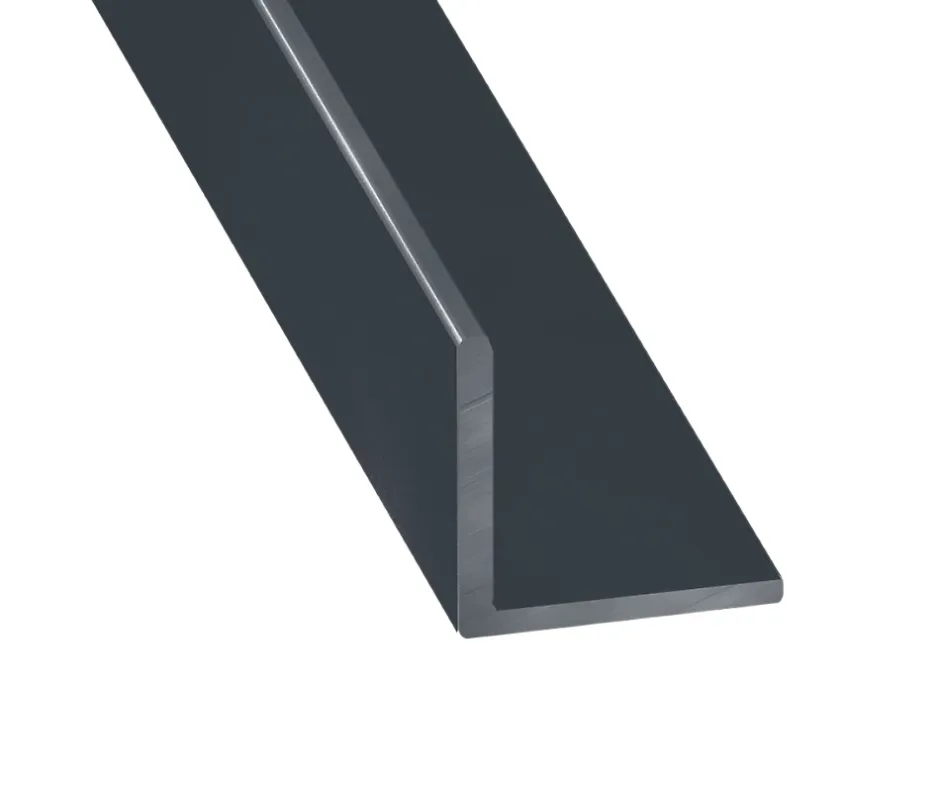 Cornière égale aluminium anthracite 25 x 25mm, L. 2,5 m^CQFD Hot