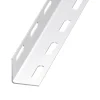 Cornière perforée acier époxy blanc 38 x 38 mm, 2 m^CQFD Sale