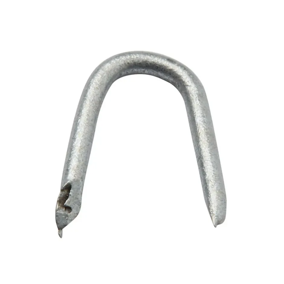 Crampillons en acier galvanisé 1,5x14 - 125g-Diall New