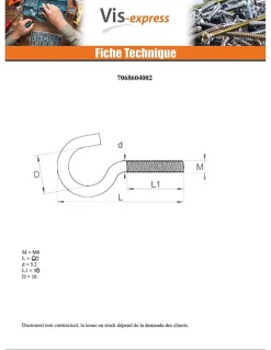 Crochet Métaux Acier zingué 6X60 - 10 pièces-Vis Express New
