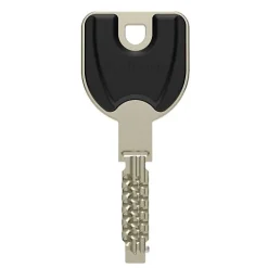 Cylindre à double entrée RADIAL-R 32x62mm 3 clés - - 20975000-Vachette Discount