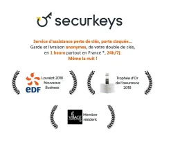 Cylindre 6 goupilles dimensions 30+30 débrayable nickelé + 5 clés réversibles^Bricard Online