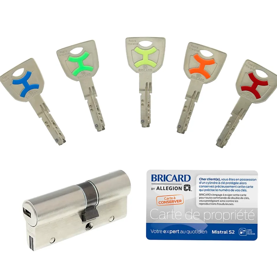 Cylindre débrayable 2 entrées 40X50-Bricard New