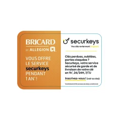 Cylindre débrayable Mistral 2 entrées 35x35 mm-Bricard Clearance