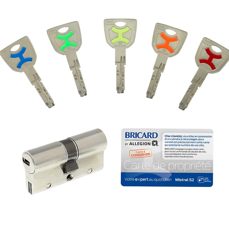 Cylindre débrayable mistral 2 entrées 30x30 mm-Bricard Sale