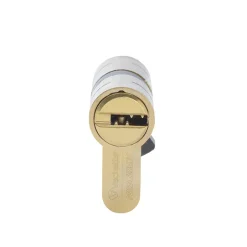 Cylindre de haute sécurité 30 x 30 mm-Vachette