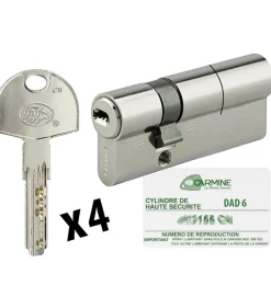 Cylindre de porte 30 x 60 mm debrayable avec 4 clés et carte de reproduction Barillet double entrée^Autres Discount