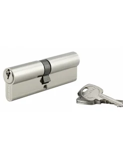 Cylindre de serrure double entrée, 45x50mm, anti-arrachement, nickel, 3 clés --Thirard Online