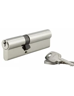 Cylindre de serrure double entrée, 40x60mm, anti-arrachement, nickel, 3 clés --Thirard