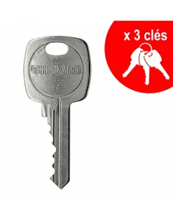 Cylindre de serrure double entrée, 40x60mm, anti-arrachement, nickel, 3 clés --Thirard
