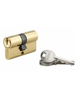 Cylindre de serrure double entrée SA, 25x30mm, anti-arrachement, laiton, 3 clés --Thirard Best