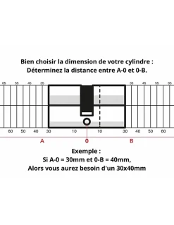 Cylindre de serrure double entrée Trafic 6, 40x50mm, nickel, anti-arrachement, anti-perçage, 5 clés -^Thirard Best