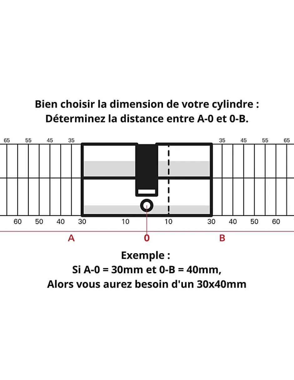 Cylindre de serrure double entrée Federal , 30x60mm, nickel, anti-arrachement, anti-perçage, 4 clés -^Thirard Sale