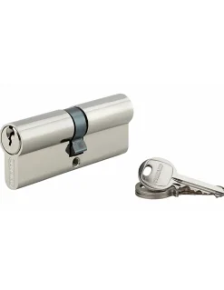 Cylindre de serrure double entrée SA, 40x40mm, anti-arrachement, nickel, vis 40mm, 3 clés --Thirard Sale