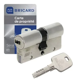 Cylindre serrure européen double entrée 30 x 40 mm debrayable 4 clés Serial S A2P 1 BRICARD^Autres Sale