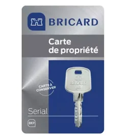 Cylindre serrure européen double entrée 30 x 40 mm debrayable 4 clés Serial S A2P 1 BRICARD^Autres Sale