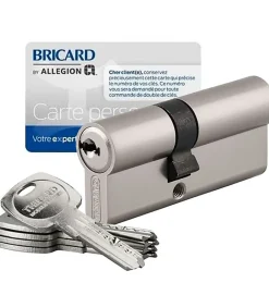 Cylindre serrure porte debrayable haute sécurité clés réversibles Carte propriété Trafic 6 Thirard Taille - 30x65mm^Autres Hot