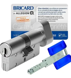 Cylindre serrure 30x30 mm à bouton acier renforcé 3 clés CHIFRAL S2 BRICARD^Autres