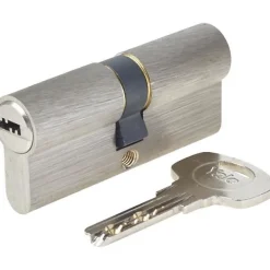 Cylindre Série 1000+ débrayable 35x35 mm nickelé - - 6 goupilles - anti-perçage et anti-crochetage^Yale New