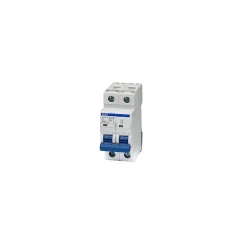 Disjoncteur Bipolaire 2p - 2a - 10ka - Courbe D - à Vis - B10d2002a^Imo Outlet