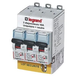 Disjoncteur DNX3 unipolaire + neutre 10A vendu par 3 pièces^Legrand Clearance
