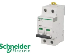 Disjoncteur modulaire bipolaire Schneider Acti9 iC60N 20A courbe D-Schneider Electric Outlet