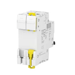 Disjoncteur modulaire bipolaire Schneider Acti9 iC60N 16A courbe D^Schneider Electric Outlet