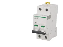 Disjoncteur modulaire bipolaire Schneider Acti9 iC60N 16A courbe D^Schneider Electric Outlet
