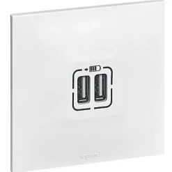 Double prise USB Neptune Blanc mat^Legrand Outlet