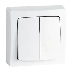 Double va-et-vient ASL blanc-Legrand