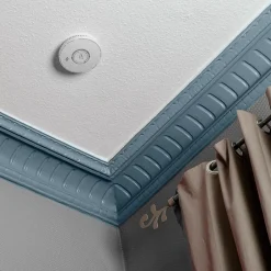 Détecteur combiné de fumée et de monoxyde de carbone Evacuate^ Best