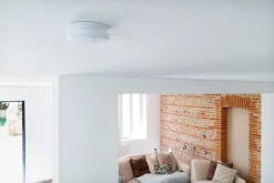 Détecteur fumée 5 ans + pile-Otio