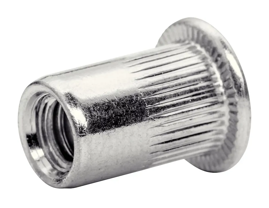 Ecrous à sertir M6, lot de 20 pièces^Rapid New