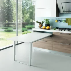 Emuca Coulisses pour table à rallonge Party, Aluminium, Inox anodisé^ Clearance