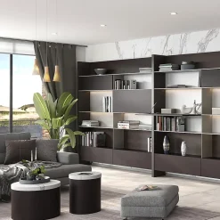 Piston de porte relevable Thin, diamètre 12mm, avec loquets, 10kg, acier et plastique, nickelé mat-Emuca Discount