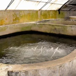 Enduit d'étanchéité Piscine Cuve Hors Sol - ARCACIM S2 AQUA. Gris Marron Proche - RAL 7013 - 20 kg -^Arcane Industries Hot