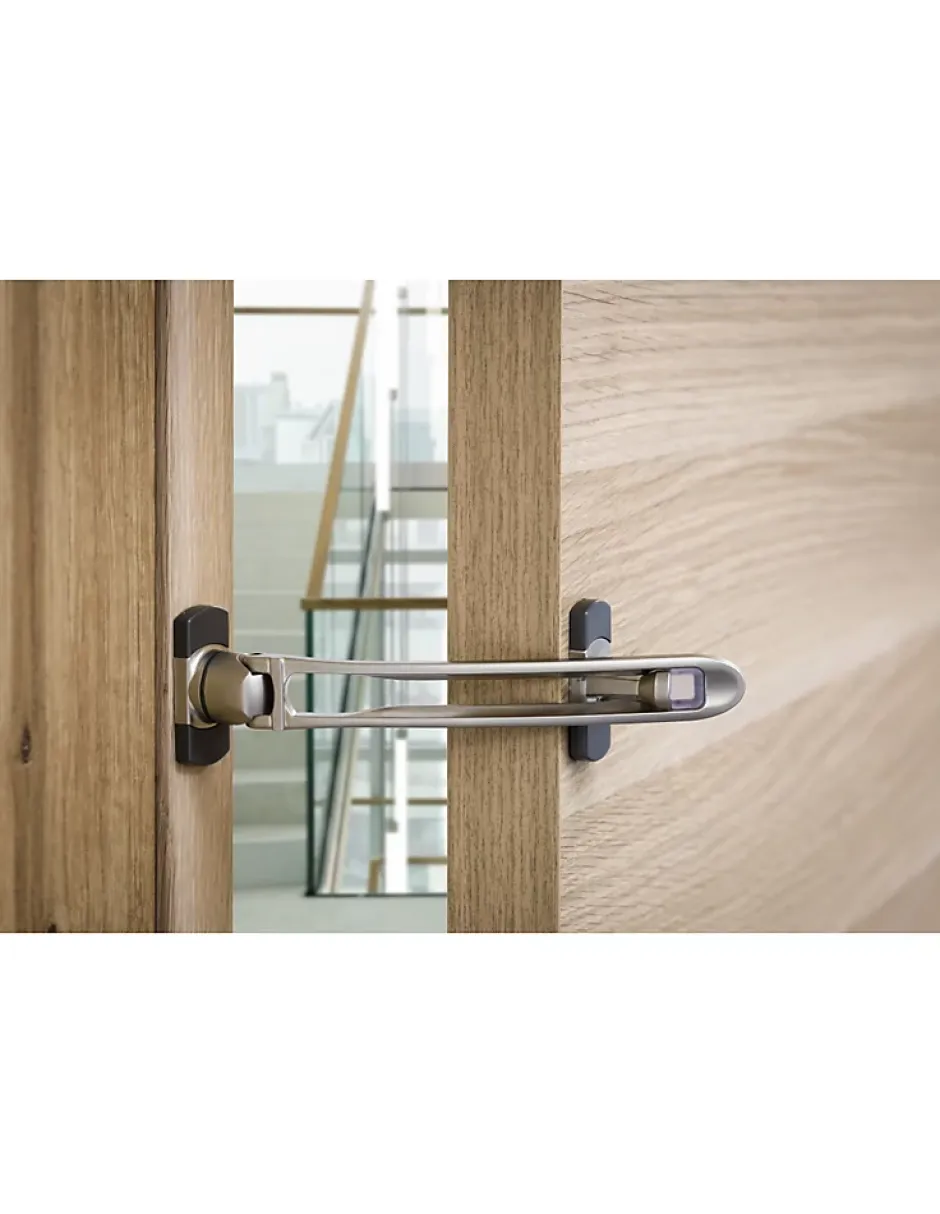 Entrebailleur pour porte d'entrée, taquet d'arrêt, 169mm, nickelé -^Thirard Hot