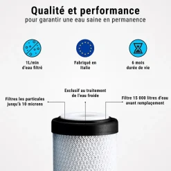 Filtre charbon actif en coquille de noix de coco 10'' ECOSOFT lot de 4^Sinea Best