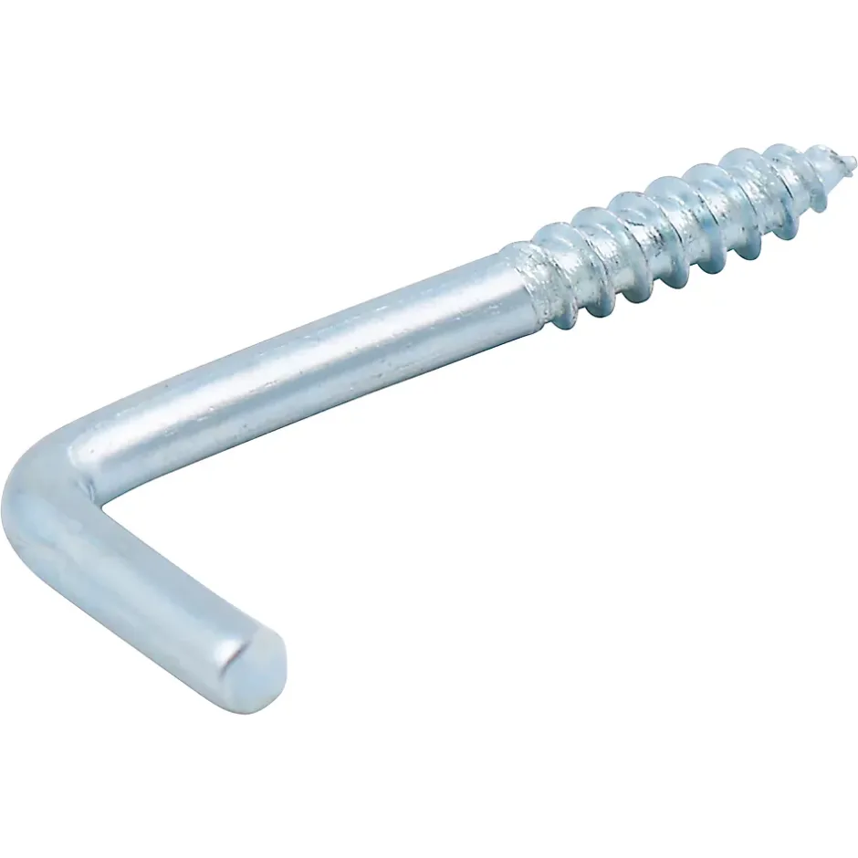 Gond à visser en acier zingué 30x14 mm - 2 pièces^Diall Outlet