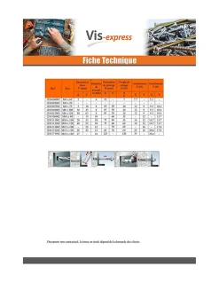 Goujon Ancrage M6X60 Acier zingué - 10 pièces-Vis Express Outlet