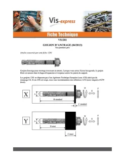 Goujon Ancrage M10X80 Acier zingué - 20 pièces^Vis Express Outlet